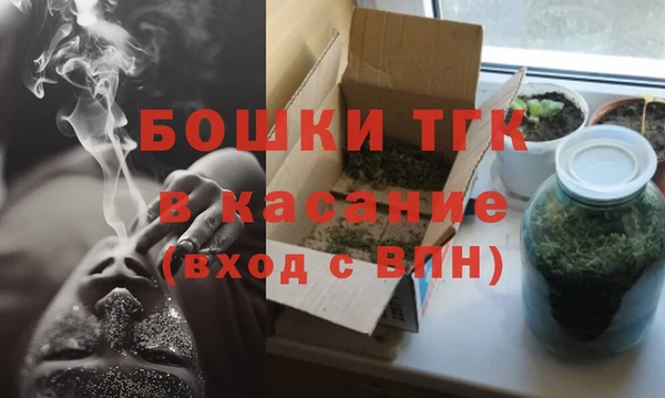 сатива Лабытнанги