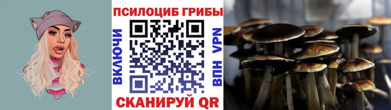 Галлюциногенные грибы ЛСД  где купить наркоту  Олёкминск 